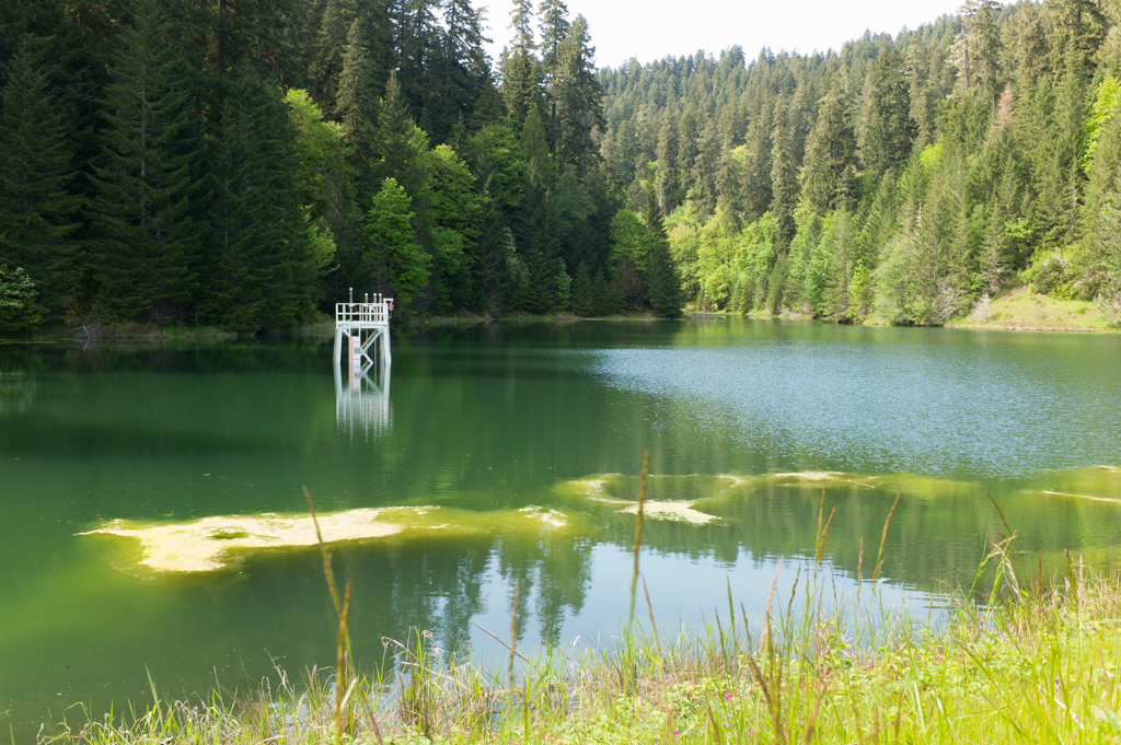 Corvallis Forest Operational Advisory Committee Corvallis Oregon