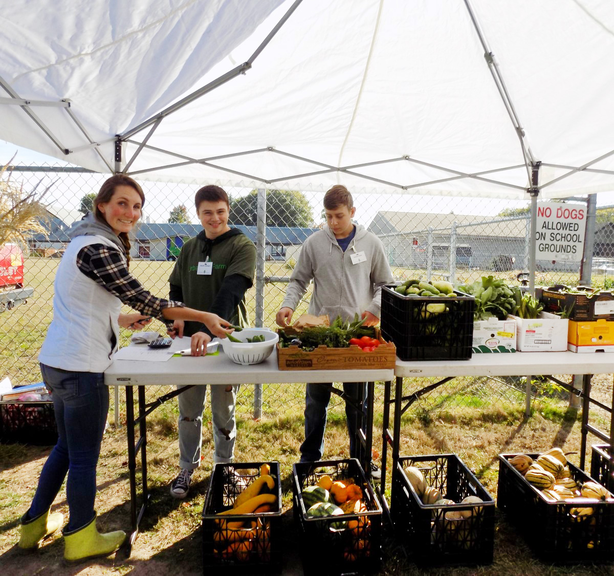 Empowerment Grant Funding Application Corvallis Oregon