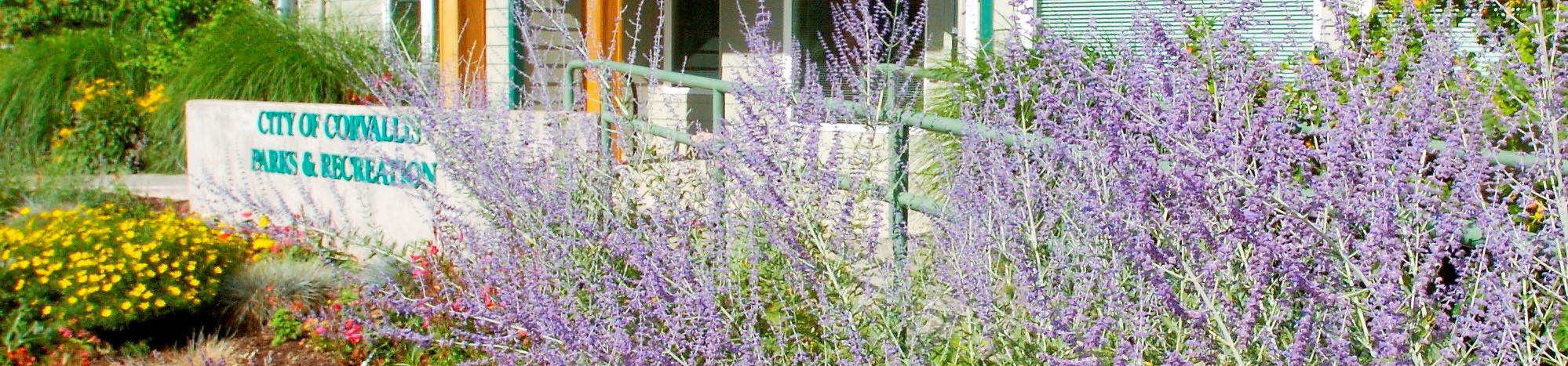 Parks & Recreation | Corvallis Oregon