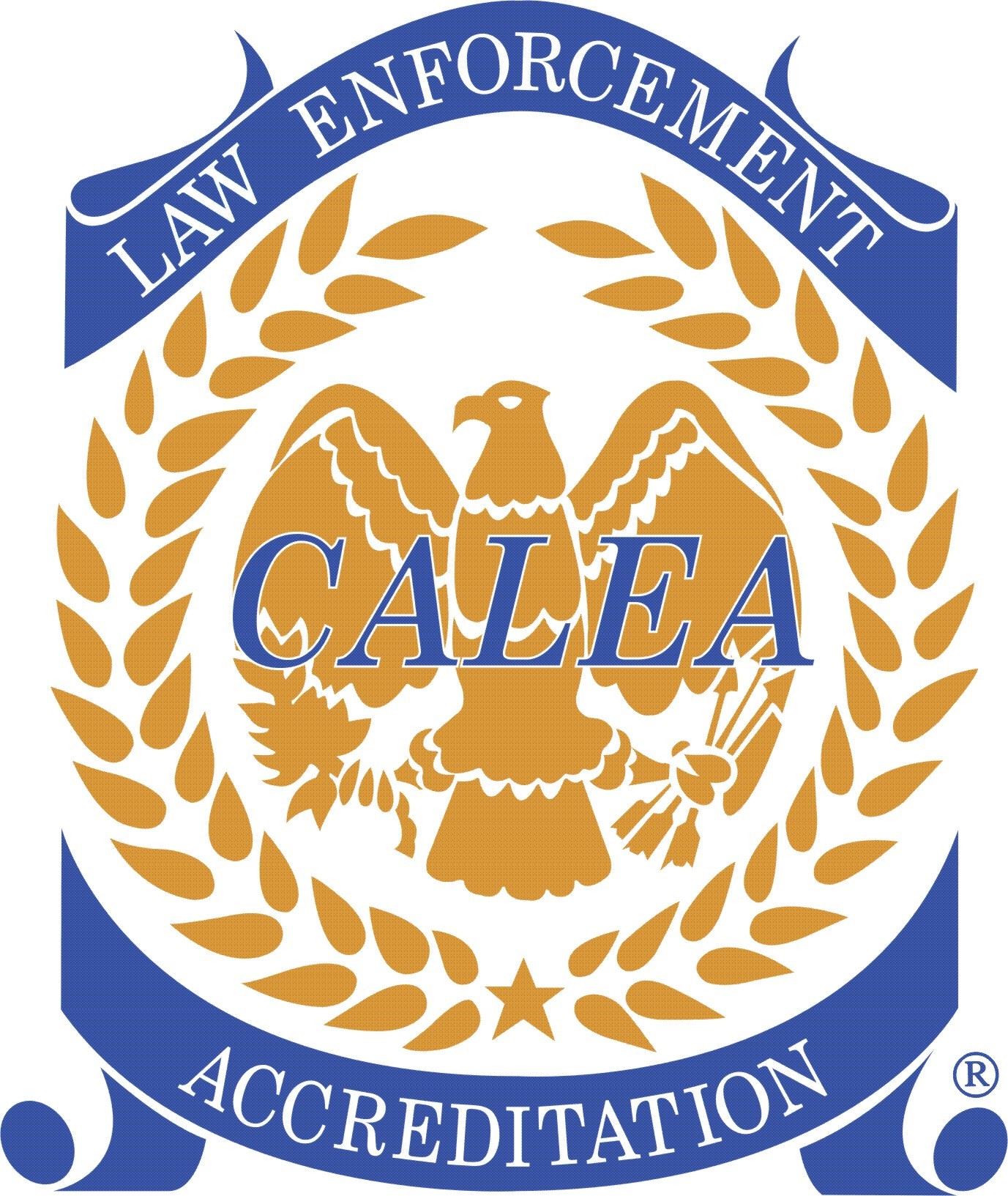 caleçons