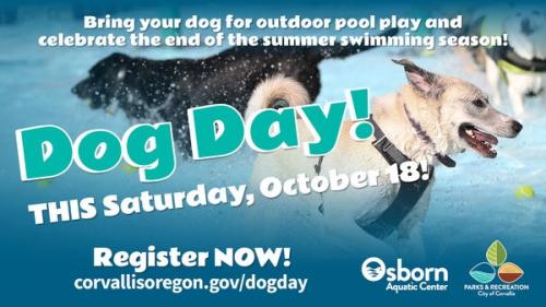 Dog Day graphic showing a black dog and a white dog splashing in the outdoor pool.