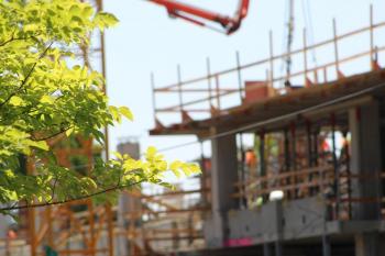 Leafy green bushes in the foreground, with construction activity building a tall building in the background