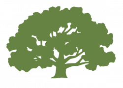 Decorative graphic of a green oak tree