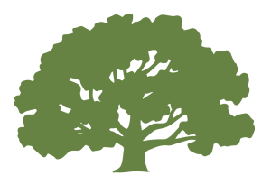 Decorative green oak tree graphic