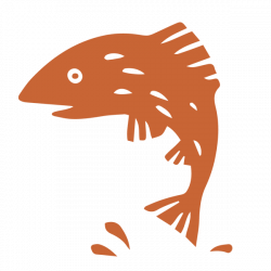 decorative image of an orange salmon