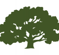 Oak Tree