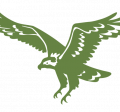 Osprey (rye grass)