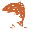 Salmon (autumn)
