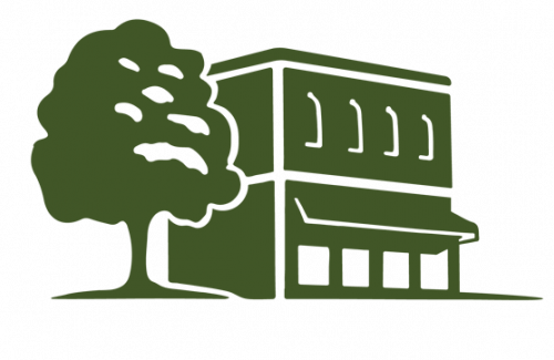 Green oak tree next to a downtown building 