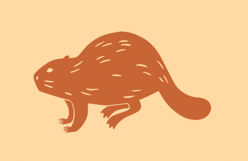 Beaver icon used by City of Corvallis. Orange in color.