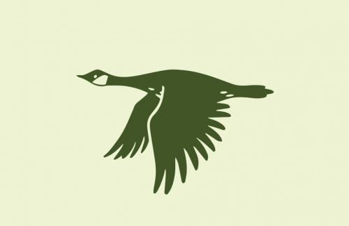 Link to November 2026 Election Ballot Measure. Dark green goose icon on light green background.