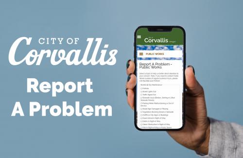 Report a Problem Online