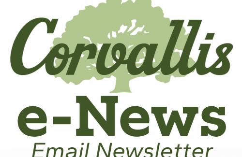 Email Newsletter