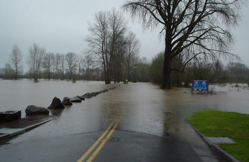 Flooding covering the road at a city park