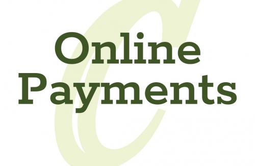 Online Payments
