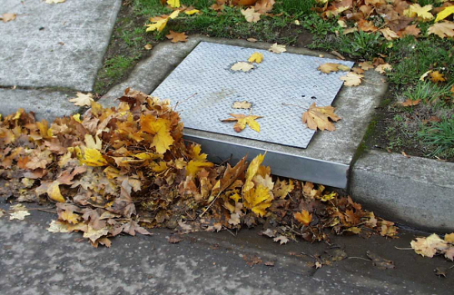 Clogged catch basin