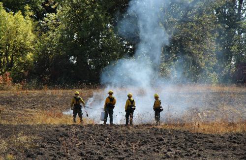 Controlled burn at Herbert Farm Four firefighters in yellow outfits standing in a smoldering smoky burned field.