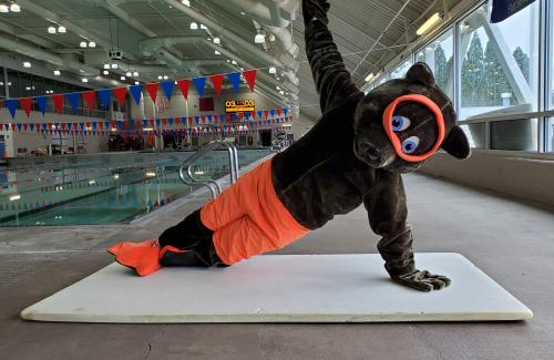 otter mascot doing yoga