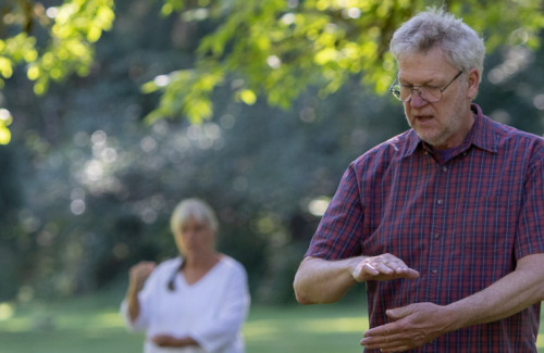 Tai Chi Exercise Programs