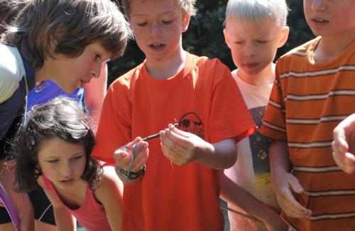 Parks & Recreation | Corvallis Oregon