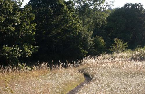 Parks & Recreation | Corvallis Oregon