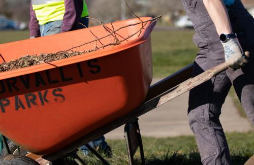 people with shovels, one pushing a "Corvallis Parks" wheelbarrow