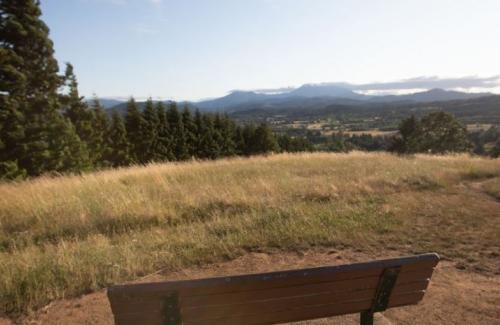 bald hill bench