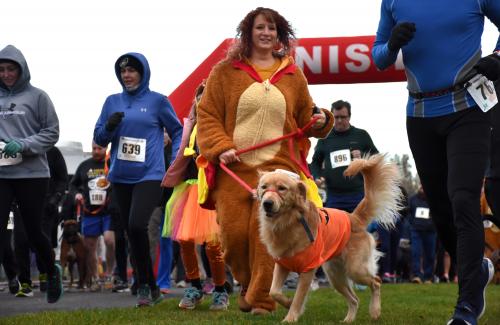 Woman at the Corvallis Turkey Trot wearing a turkey costume while running her golden retriever dog through the finish line