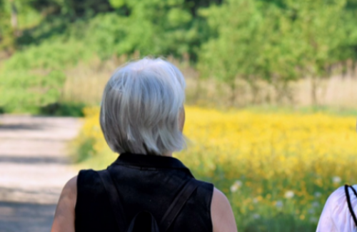 three women hiking in a sunny forest
