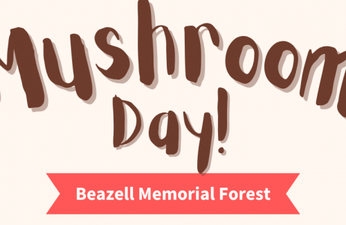 Mushroom day banner 2025