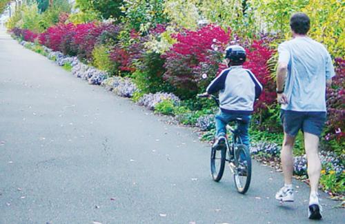 Small Tree Arboretum