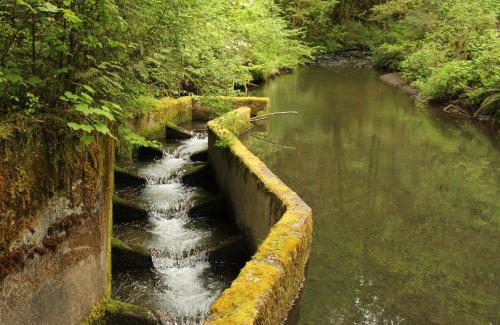 Rock Creek Fish Stairway