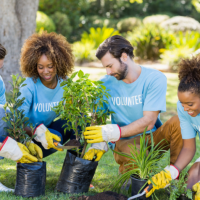 Volunteers gardening