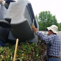Birdie neighbors address blackberries issues along SW 35th Street.