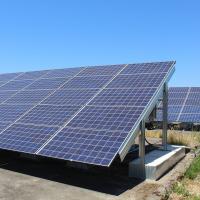 Solar panels in a grassy field under a blue sky