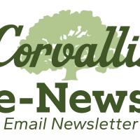 Email Newsletter