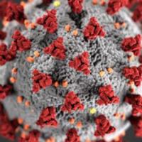 Coronavirus graphic