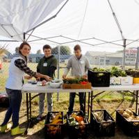 Urban Farm Stand
