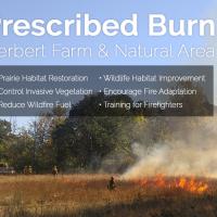 Prescribed burn graphic showing prairie with a controlled fire burning through grass, with firefighters nearby tending the fire.
