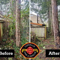 Two side by side photos of a house next to trees and bushes, showing how fire risk is reduced by removing brush and branches.