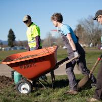three people working to plant trees, one pushing wheelbarrow of mulch