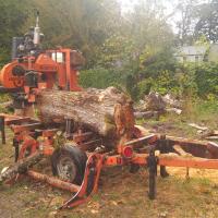 Milling a large log with a bandsaw mill