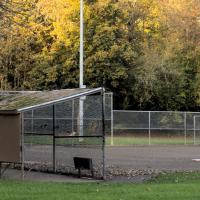 pioneer park baseball field