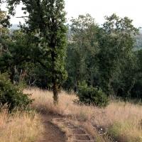 hiking trail