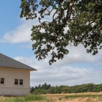 owens farm house next to large oak tree