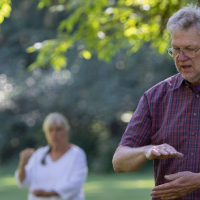 Tai Chi Exercise Programs