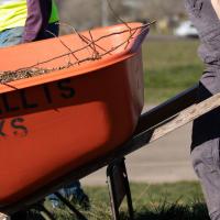 people with shovels, one pushing a "Corvallis Parks" wheelbarrow