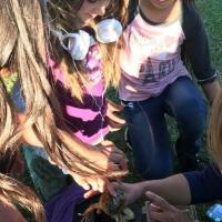 youth camps