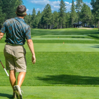 Adult Golf