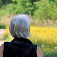 three women hiking in a sunny forest